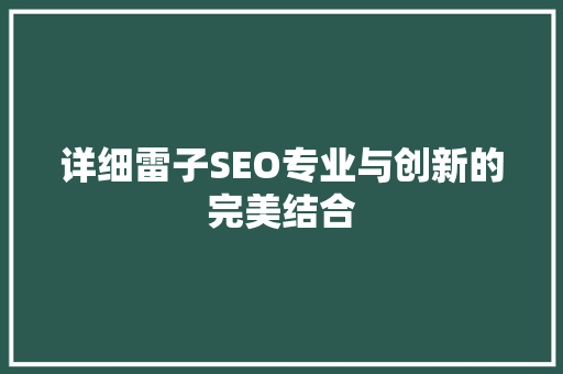 详细雷子SEO专业与创新的完美结合