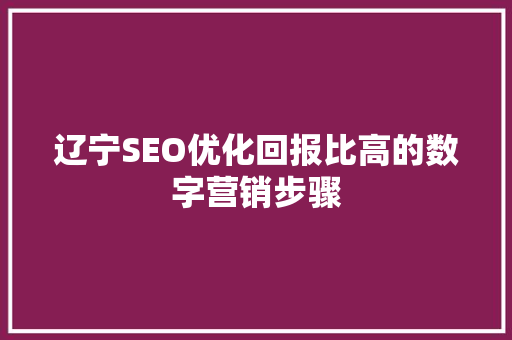辽宁SEO优化回报比高的数字营销步骤