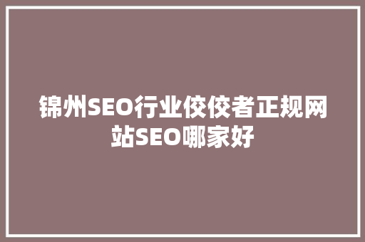 锦州SEO行业佼佼者正规网站SEO哪家好