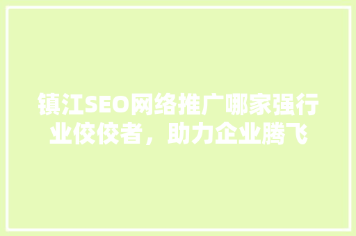 镇江SEO网络推广哪家强行业佼佼者，助力企业腾飞