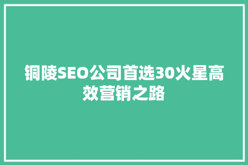 铜陵SEO公司首选30火星高效营销之路