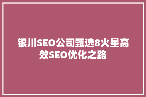 银川SEO公司甄选8火星高效SEO优化之路