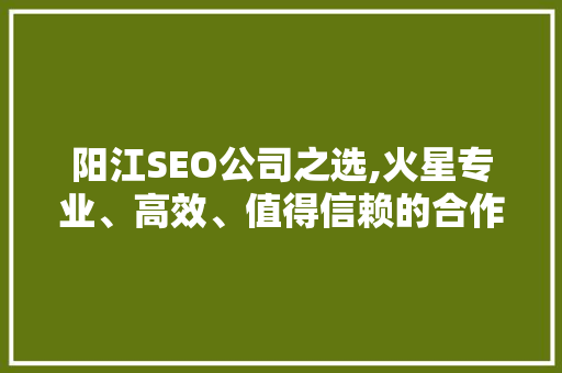 阳江SEO公司之选,火星专业、高效、值得信赖的合作伙伴