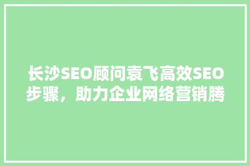 长沙SEO顾问袁飞高效SEO步骤，助力企业网络营销腾飞