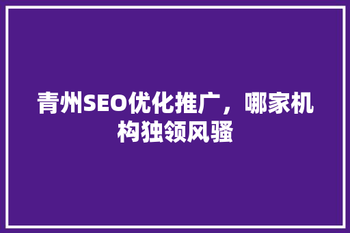青州SEO优化推广，哪家机构独领风骚
