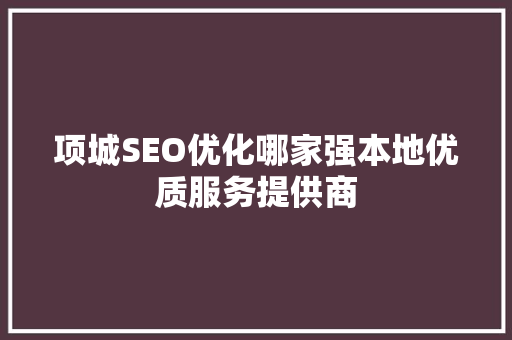 项城SEO优化哪家强本地优质服务提供商