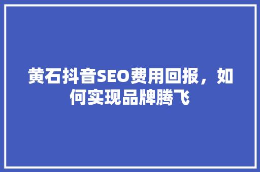 黄石抖音SEO费用回报，如何实现品牌腾飞