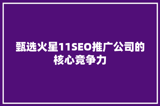 甄选火星11SEO推广公司的核心竞争力