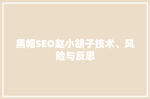 黑帽SEO赵小胡子技术、风险与反思