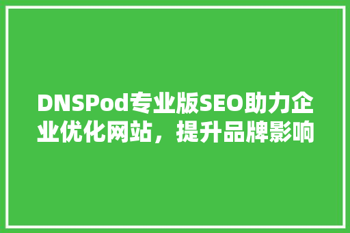 DNSPod专业版SEO助力企业优化网站，提升品牌影响力