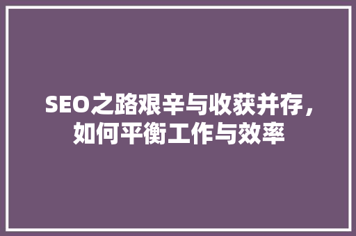 SEO之路艰辛与收获并存，如何平衡工作与效率