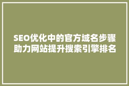 SEO优化中的官方域名步骤助力网站提升搜索引擎排名