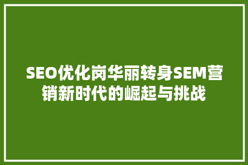 SEO优化岗华丽转身SEM营销新时代的崛起与挑战