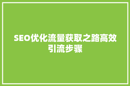 SEO优化流量获取之路高效引流步骤