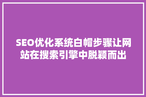 SEO优化系统白帽步骤让网站在搜索引擎中脱颖而出