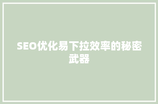 SEO优化易下拉效率的秘密武器