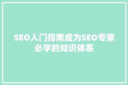 SEO入门指南成为SEO专家必学的知识体系