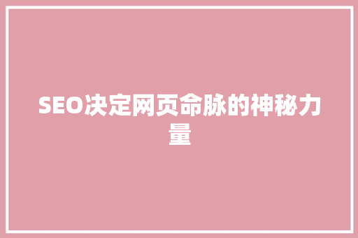 SEO决定网页命脉的神秘力量