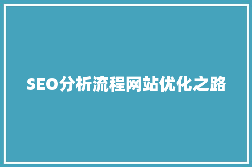SEO分析流程网站优化之路