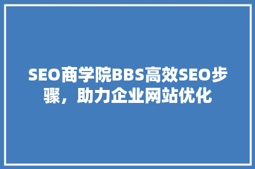 SEO商学院BBS高效SEO步骤，助力企业网站优化