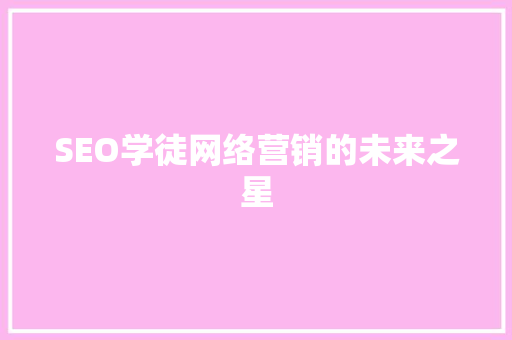 SEO学徒网络营销的未来之星