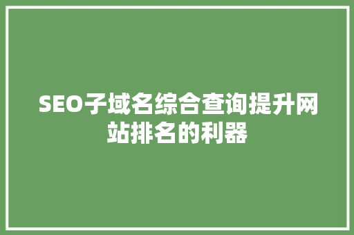 SEO子域名综合查询提升网站排名的利器
