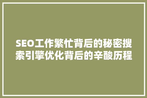 SEO工作繁忙背后的秘密搜索引擎优化背后的辛酸历程