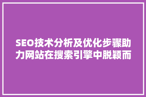 SEO技术分析及优化步骤助力网站在搜索引擎中脱颖而出