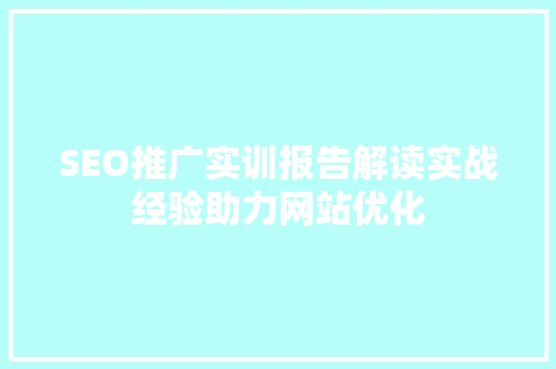 SEO推广实训报告解读实战经验助力网站优化