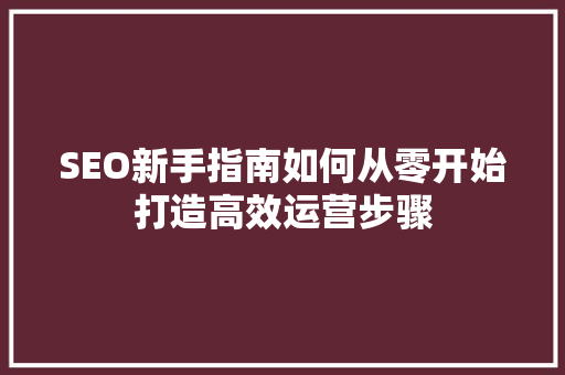 SEO新手指南如何从零开始打造高效运营步骤
