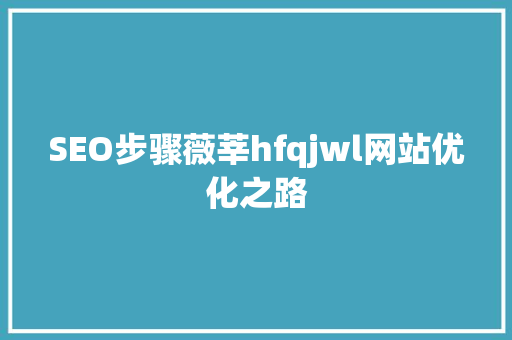 SEO步骤薇莘hfqjwl网站优化之路