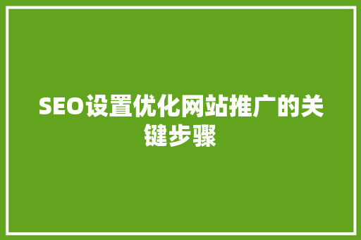 SEO设置优化网站推广的关键步骤