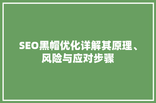 SEO黑帽优化详解其原理、风险与应对步骤