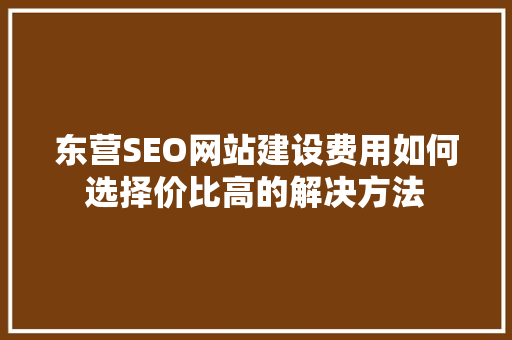 东营SEO网站建设费用如何选择价比高的解决方法