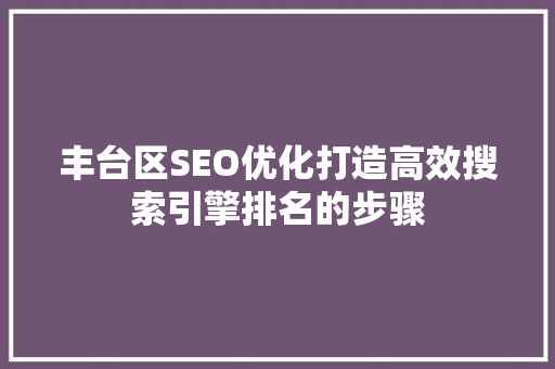 丰台区SEO优化打造高效搜索引擎排名的步骤