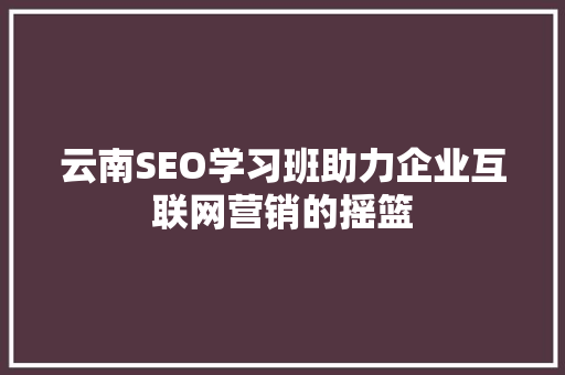 云南SEO学习班助力企业互联网营销的摇篮