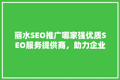 丽水SEO推广哪家强优质SEO服务提供商，助力企业腾飞