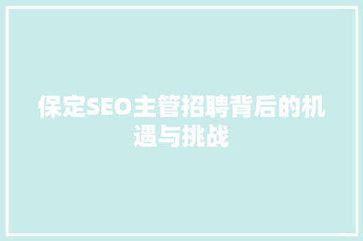 保定SEO主管招聘背后的机遇与挑战