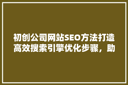 初创公司网站SEO方法打造高效搜索引擎优化步骤，助力企业腾飞