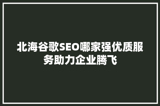 北海谷歌SEO哪家强优质服务助力企业腾飞