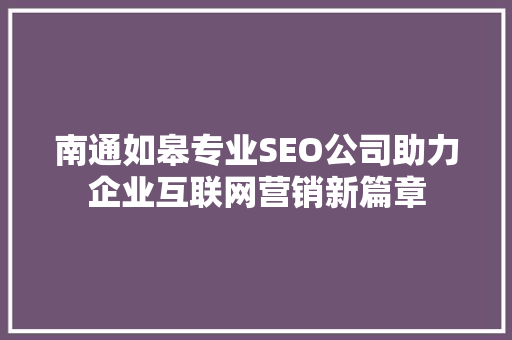 南通如皋专业SEO公司助力企业互联网营销新篇章