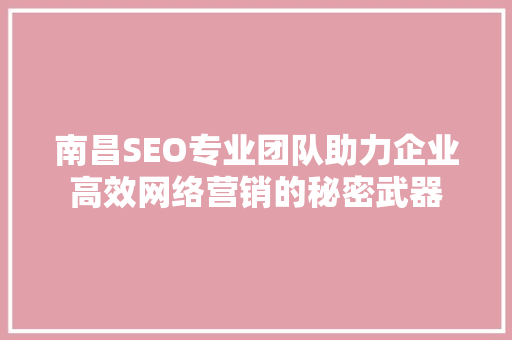 南昌SEO专业团队助力企业高效网络营销的秘密武器