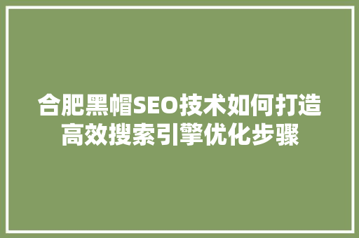 合肥黑帽SEO技术如何打造高效搜索引擎优化步骤