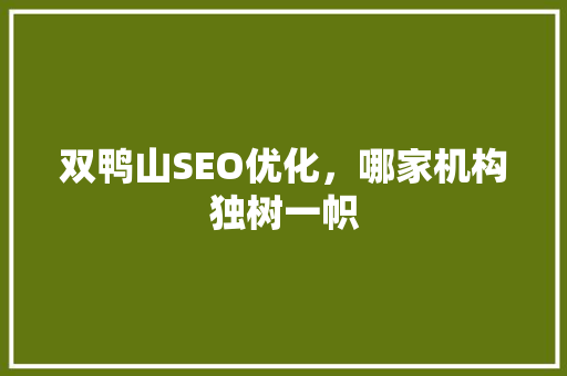 双鸭山SEO优化，哪家机构独树一帜