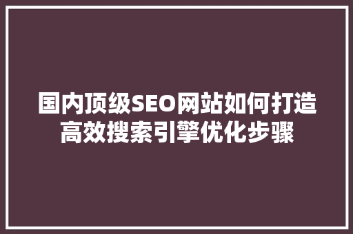 国内顶级SEO网站如何打造高效搜索引擎优化步骤