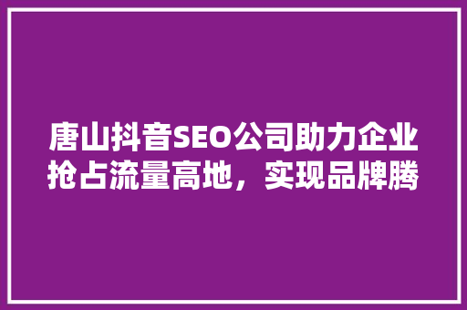 唐山抖音SEO公司助力企业抢占流量高地，实现品牌腾飞