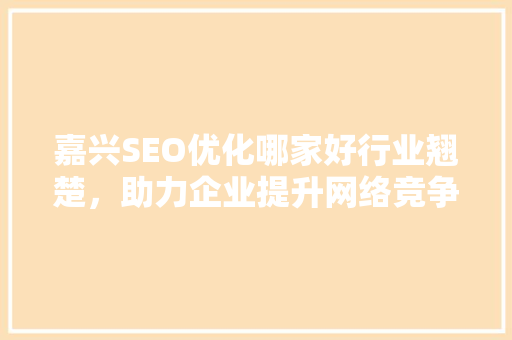 嘉兴SEO优化哪家好行业翘楚，助力企业提升网络竞争力