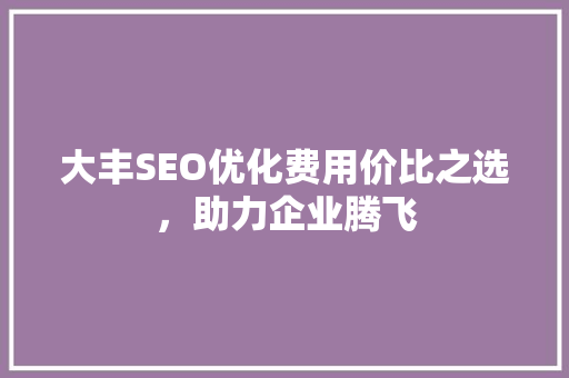 大丰SEO优化费用价比之选，助力企业腾飞