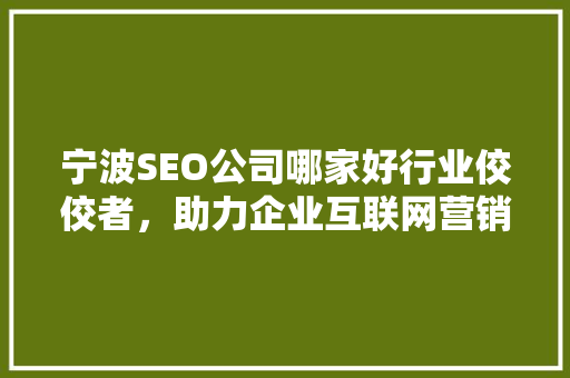 宁波SEO公司哪家好行业佼佼者，助力企业互联网营销
