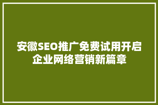 安徽SEO推广免费试用开启企业网络营销新篇章